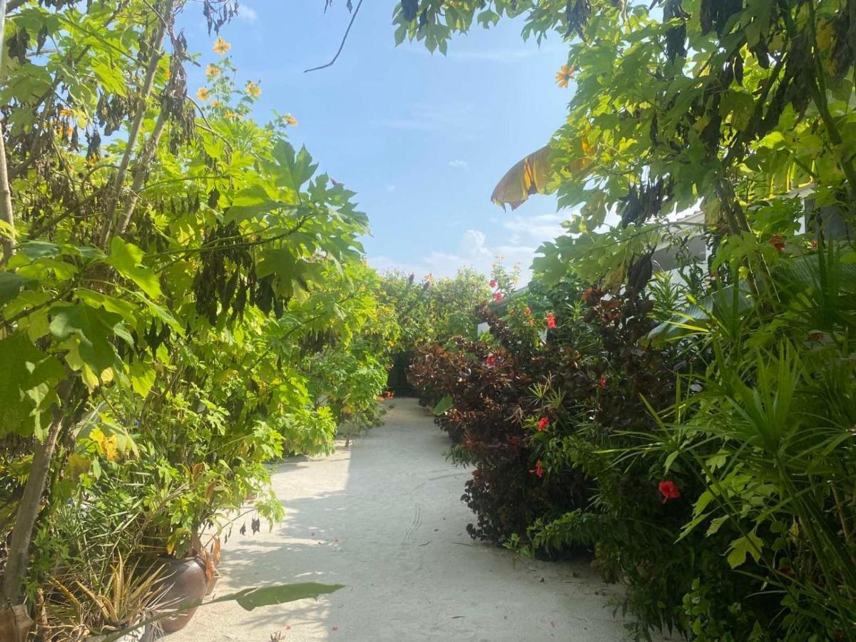 Coral Castle - Goidhoo Maldives Hotel Exterior photo